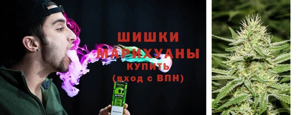 шишки Армянск