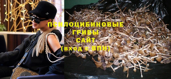 крисы Алексеевка