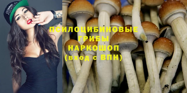 экстази Алексин